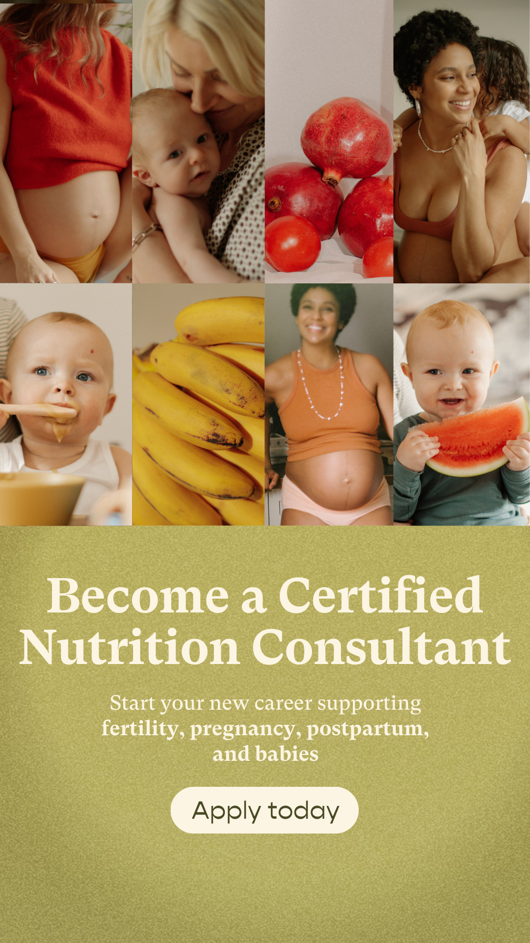 Nutrition Consultant